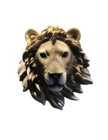 Masque Africain Lion Economisez 