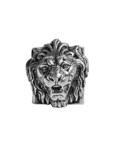 Bague Lion une grave pollution 