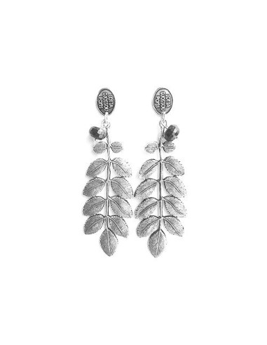 Boucles d'oreilles Feuille d'Acacia brillant des détails fins